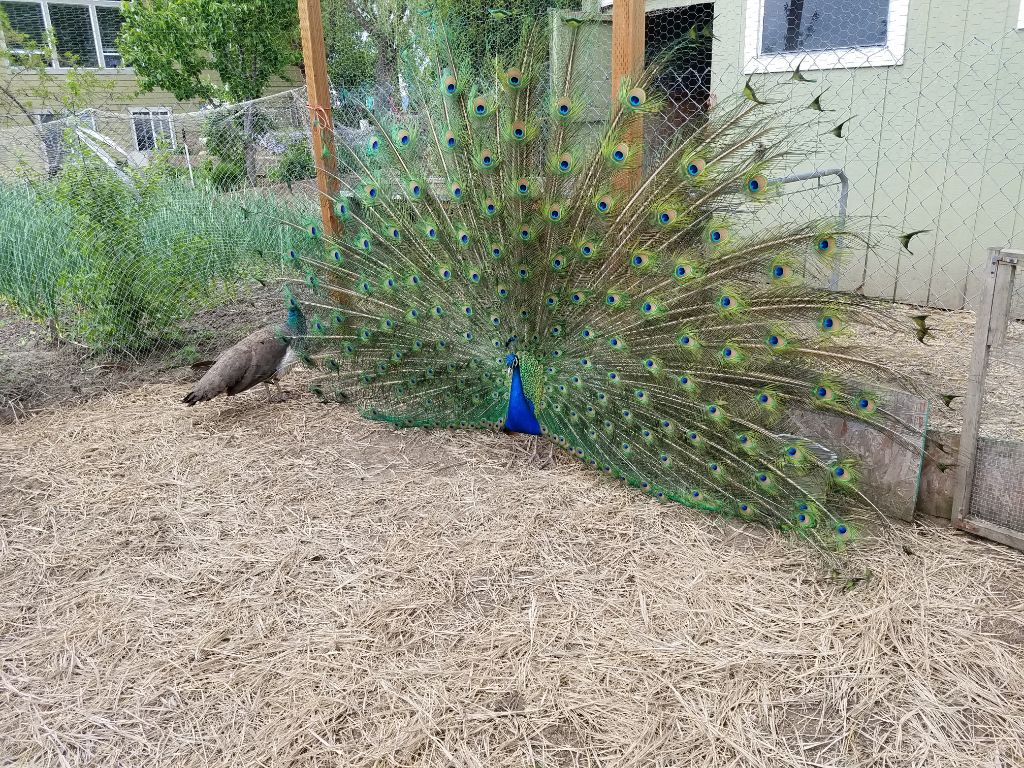 Lenas Gentle Care Morgan Facility Front Side