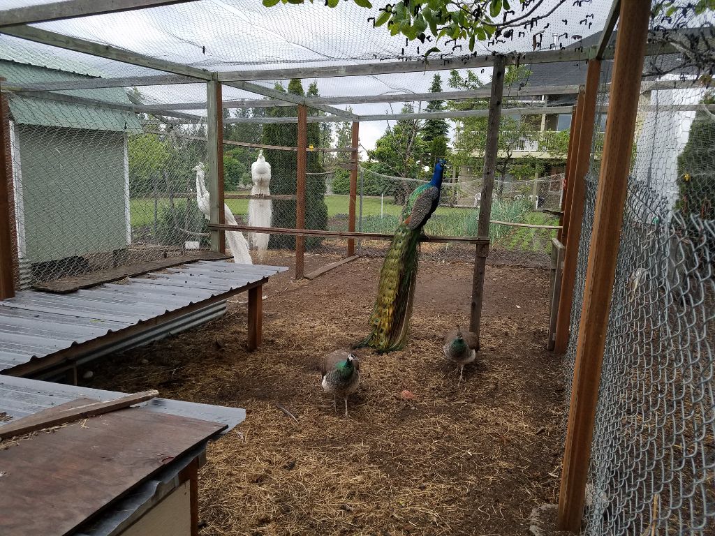 Lenas Gentle Care Morgan Facility Front Side