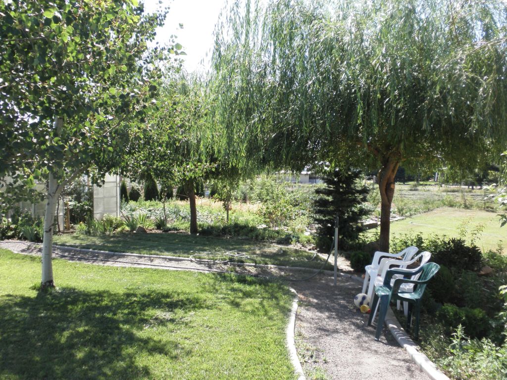 Lenas Gentle Care Morgan Facility East Yard 2015