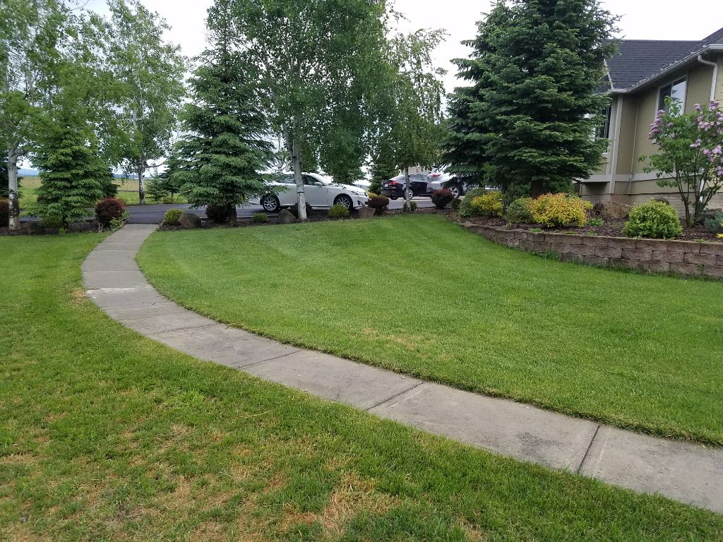 Lenas Gentle Care Morgan Facility Front Path 2019