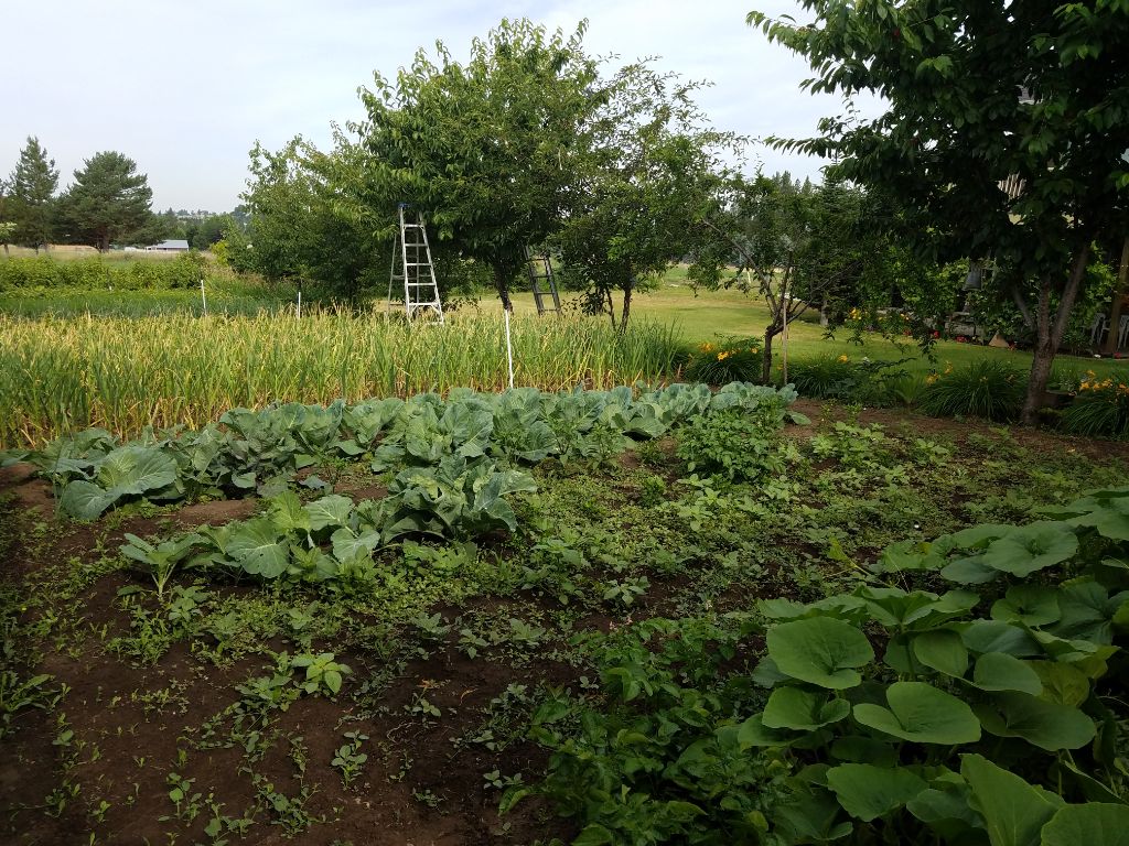 Lenas Gentle Care Morgan Facility Garden 2017