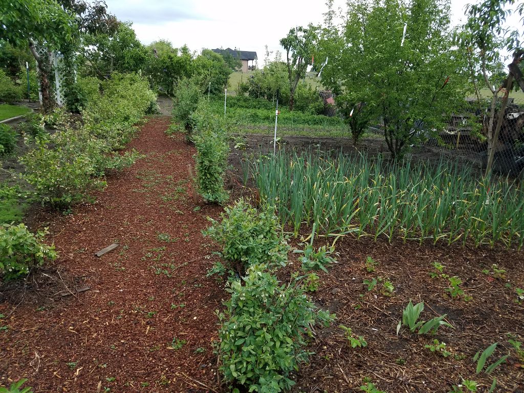 Lenas Gentle Care Morgan Facility Garden 2019