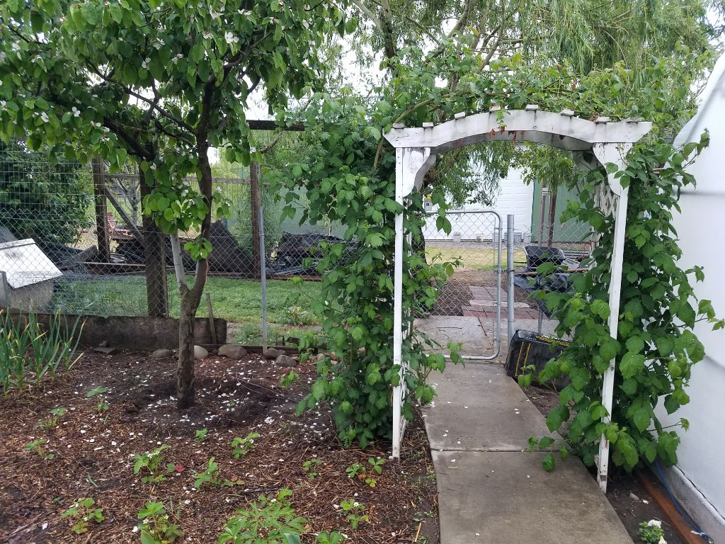 Lenas Gentle Care Morgan Facility Garden 2019