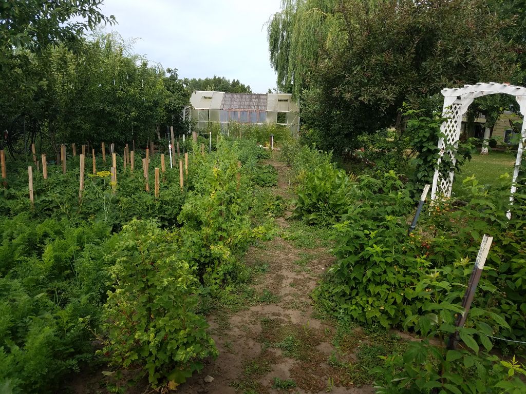 Lenas Gentle Care Morgan Facility Garden 2017