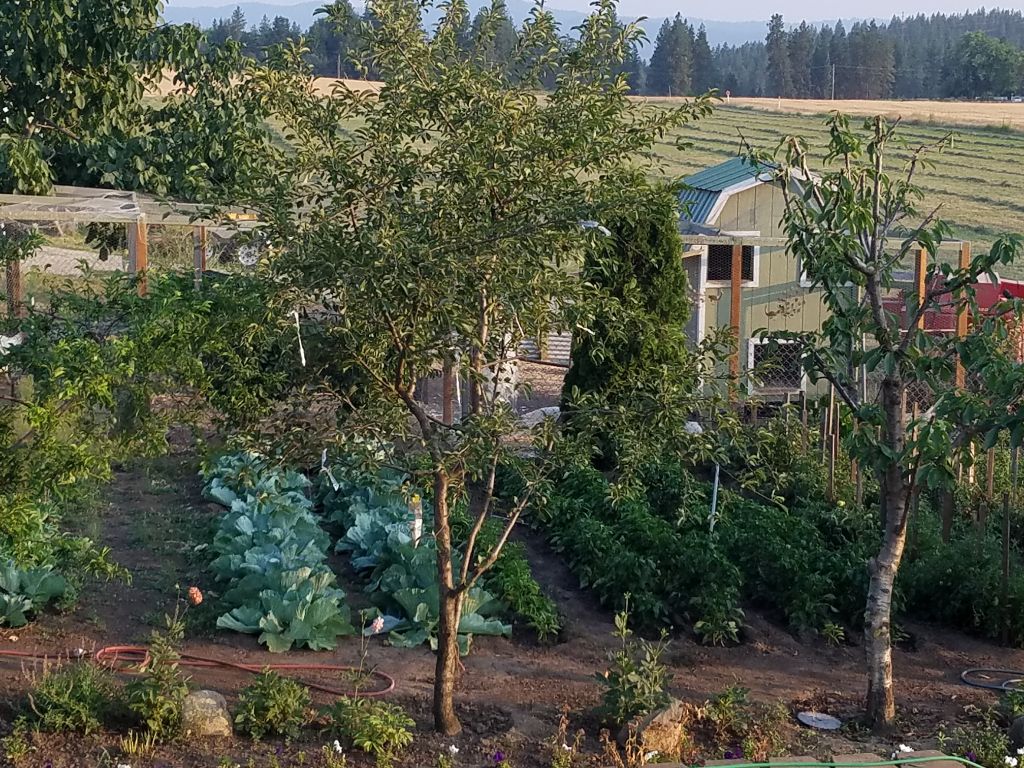 Lenas Gentle Care Morgan Facility Garden 2017