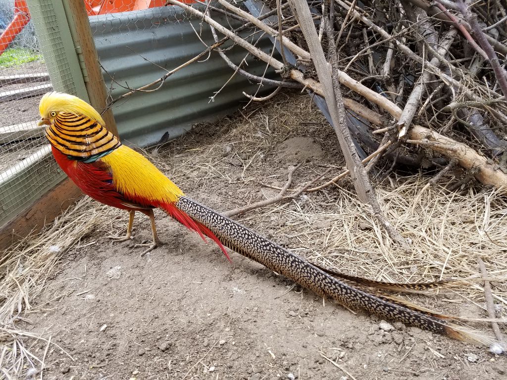 Lenas Gentle Care Morgan Facility Front Side