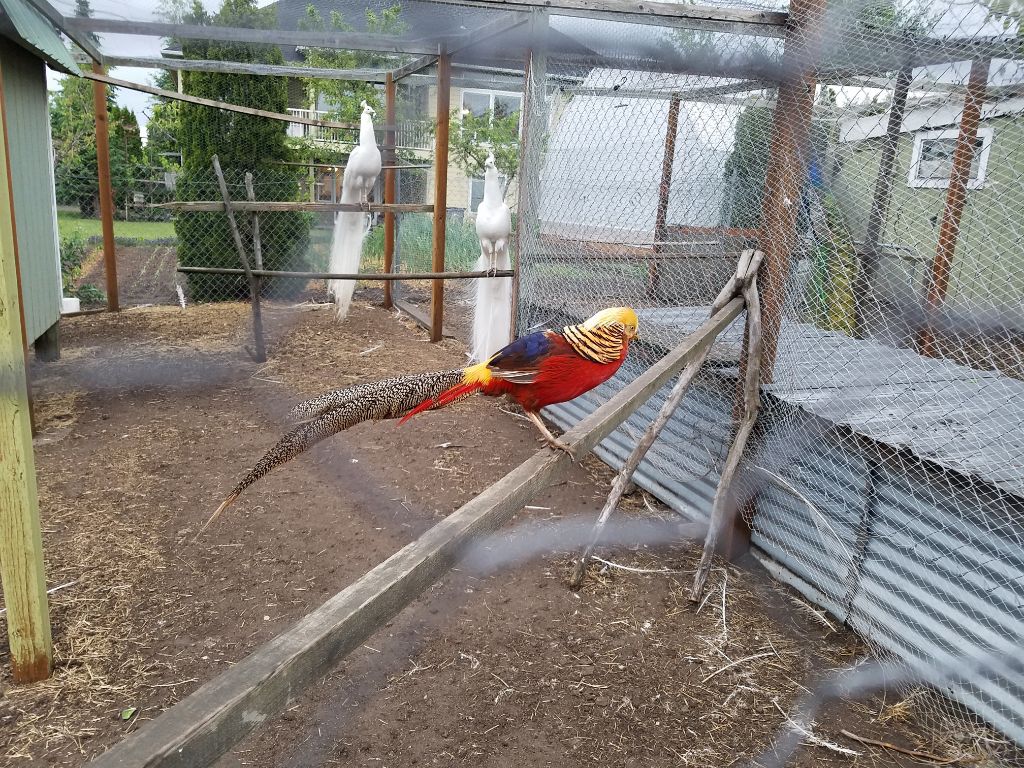 Lenas Gentle Care Morgan Facility Front Side