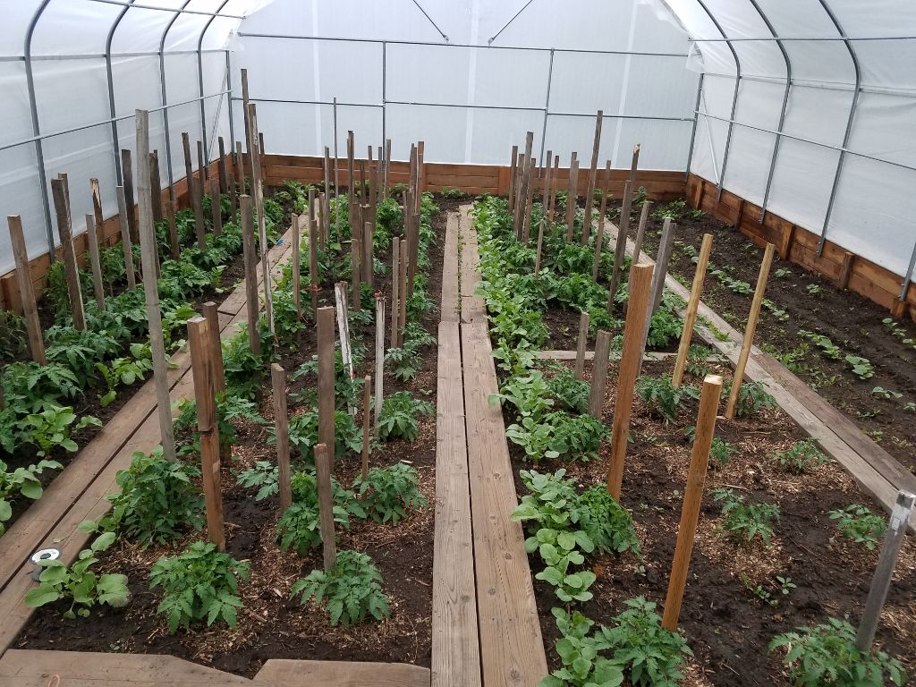 Lenas Gentle Care Morgan Facility Greenhouse 2019