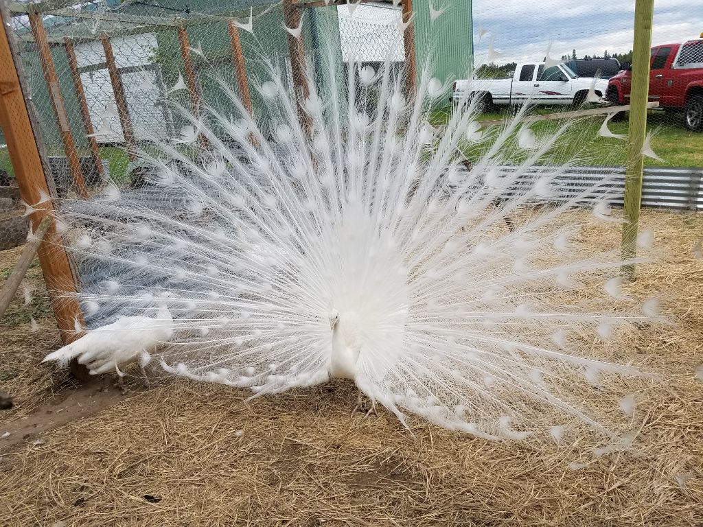 Lenas Gentle Care Morgan Facility Front Side